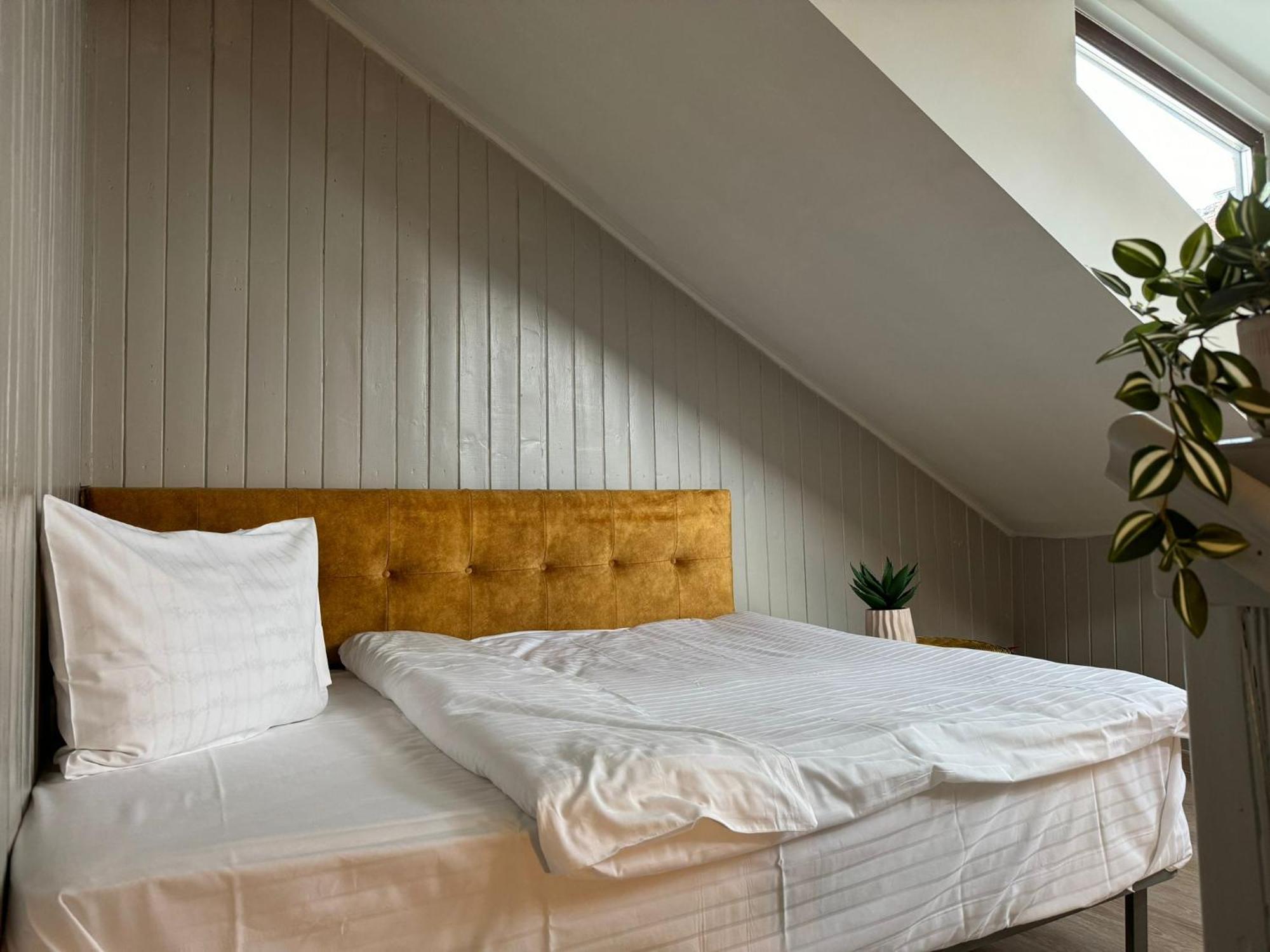 Central Stay Braşov Extérieur photo